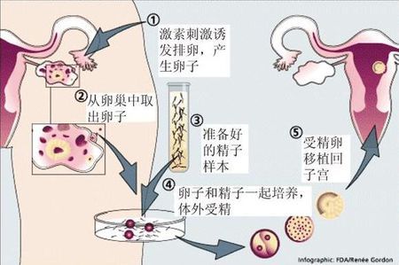 张暖春主任